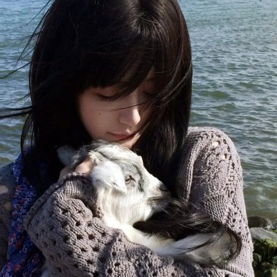 加菲猫和他的朋友们第一季