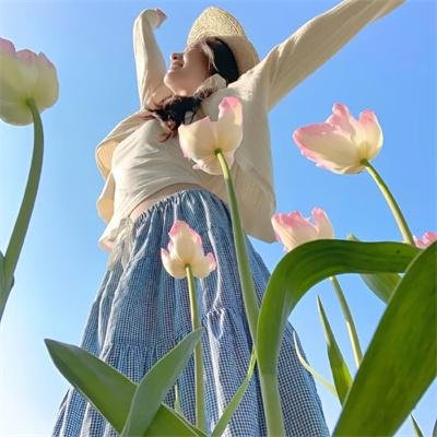 撒哈拉奇兵